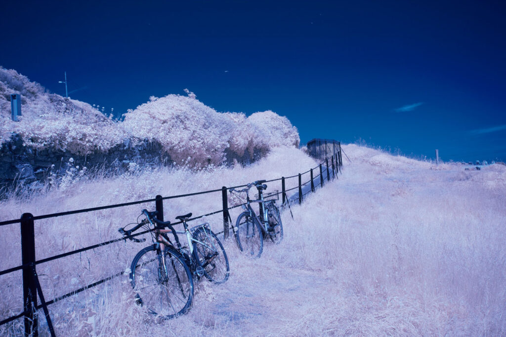 Ethereal infrared landscape: white foliage, blue sky, parked bicycles.