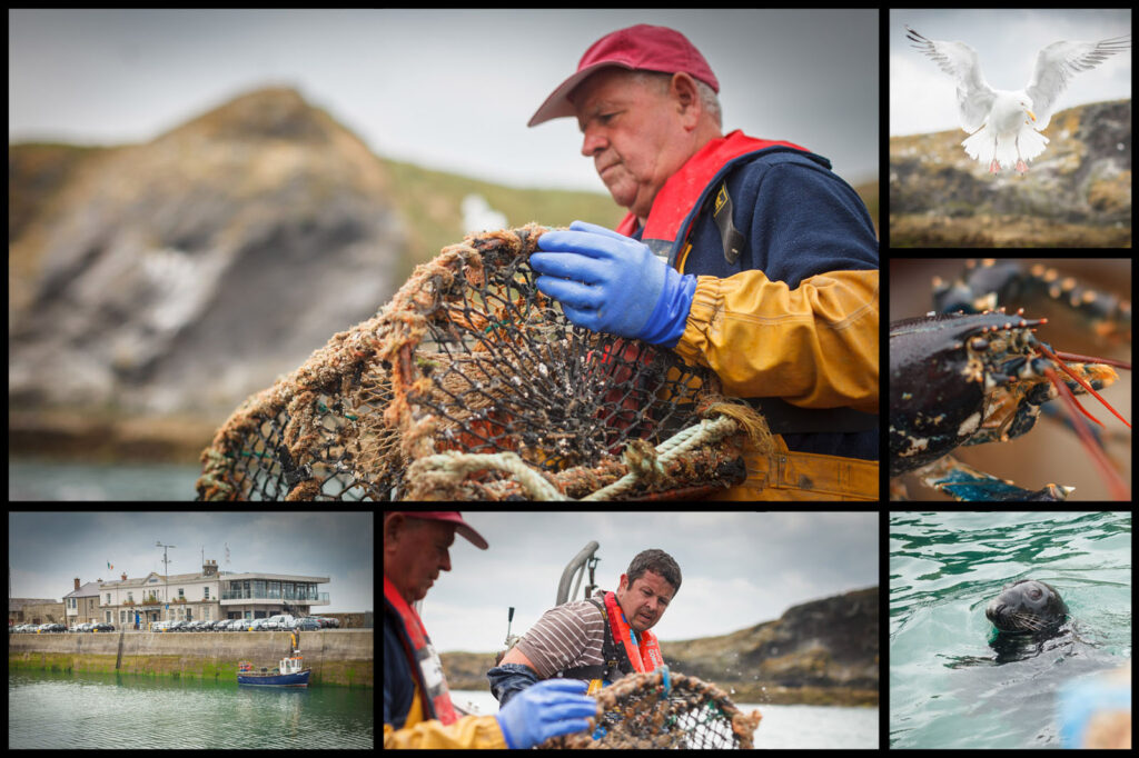 Fishermen, marine life, and harbor scenes in a coastal collage.