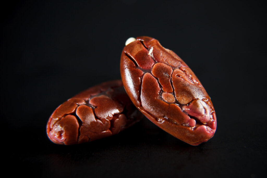 Fresh cocoa beans