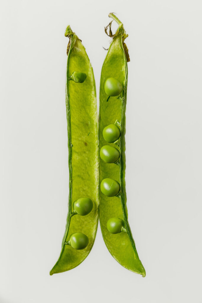Fresh green peas in open pods.