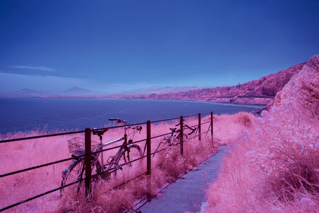 Infrared coastal scene with bicycles, pink grass, and blue ocean.