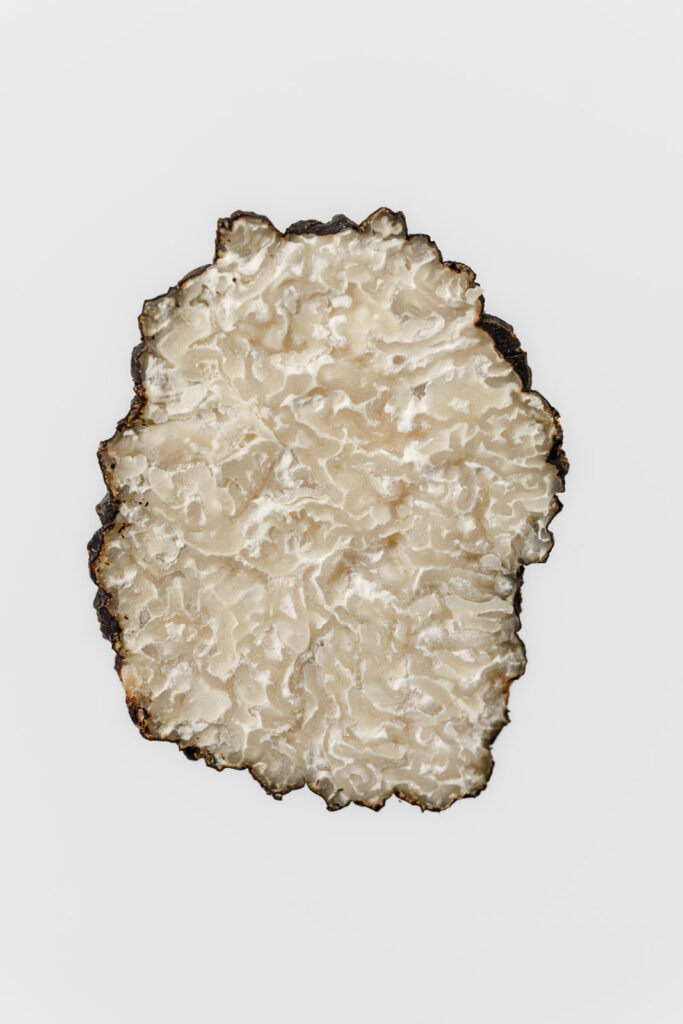Intricate cross-section of a black truffle.